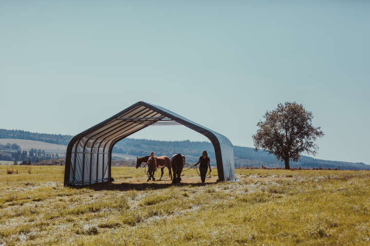 ShelterLogic Weidezelt